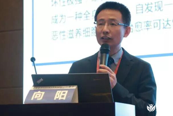 供卵试管婴儿在鄂州是否合法？我需要做什么准备？