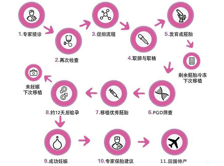 供卵试管婴儿b级胚胎的成功率高吗？