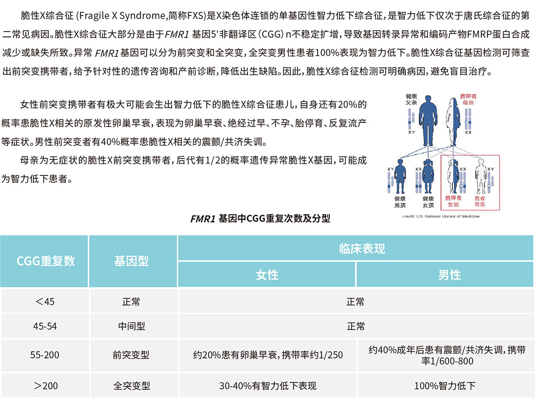 赠卵供卵代生机构中囊胚有染色体缺失吗？