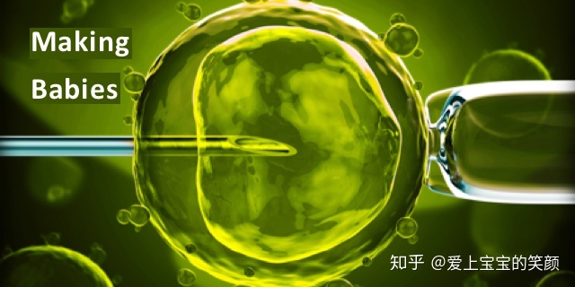 盘点借卵做自怀做供卵试管的利与弊，这些点你确定都知道吗？