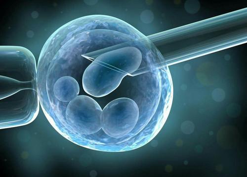 俄罗斯借卵供卵代怀医院过程中的男性方面--取回精子