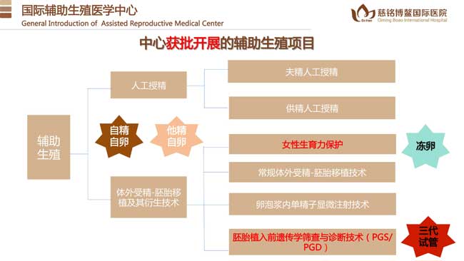 推荐上海的做借卵供卵代怀医院医院