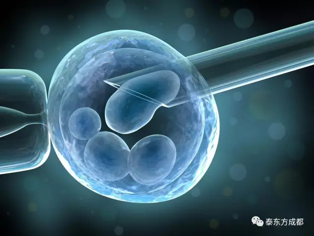 合肥901医院供卵代生医院价格参考,2023试管助孕费用筹算指南
