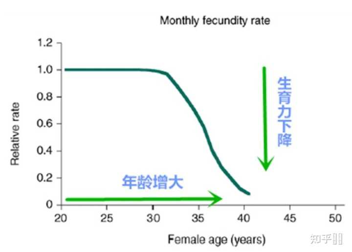 直接去泰国医院借卵做试管