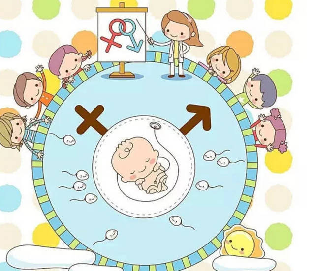 做供卵试管婴儿什么生殖方式