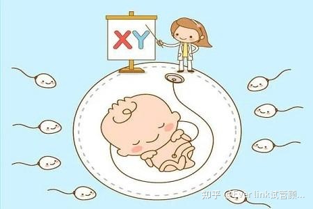 做供卵试管婴儿什么生殖方式
