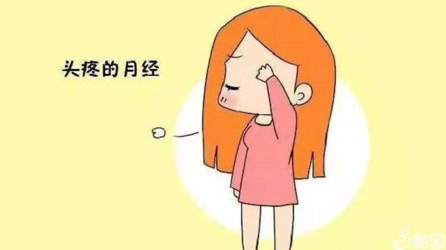 做借卵试管期间饮食餐单