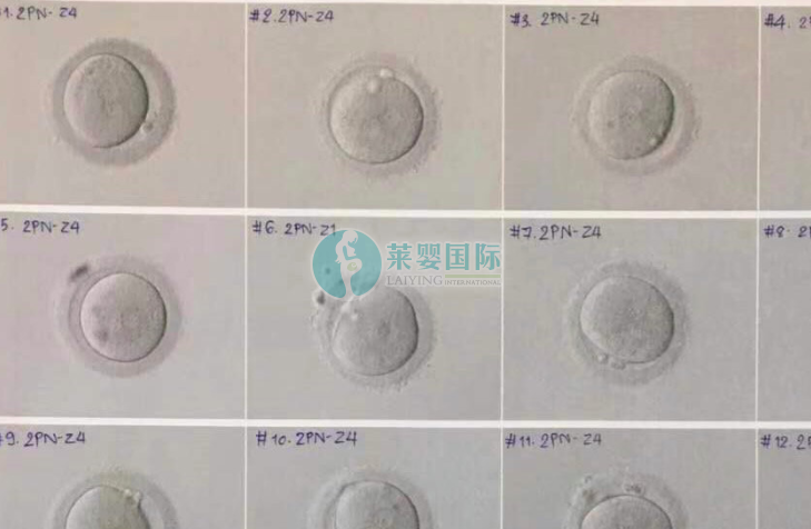 试管成功了要一直打针么