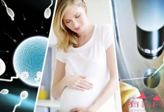 鹿胎膏能治卵巢早衰
