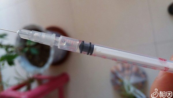 做完试管代怀的条件是什么后的食谱