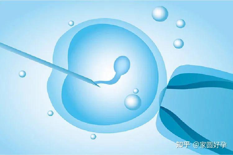 想要男孩可以可以做试管代怀试管吗吗