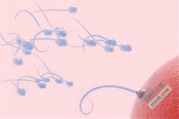 les试管代怀选性别医院价格,流程、费用这里都有
