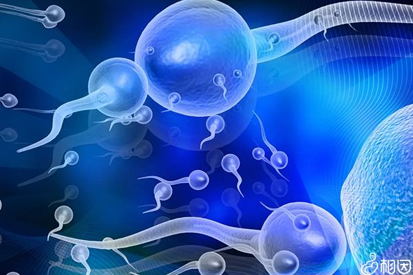 2023武汉第一中医院微博试管代怀费用预估,这份价格表快收藏!