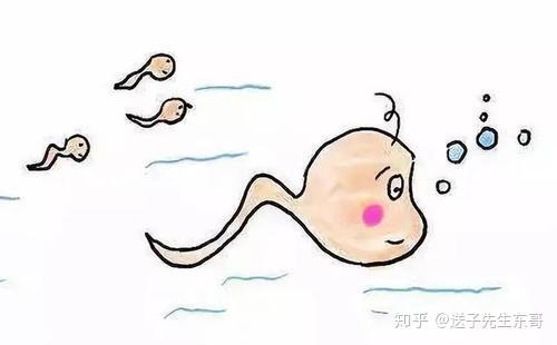 做试管吃二甲双胍是什么作用,为啥不是糖尿病也要吃？