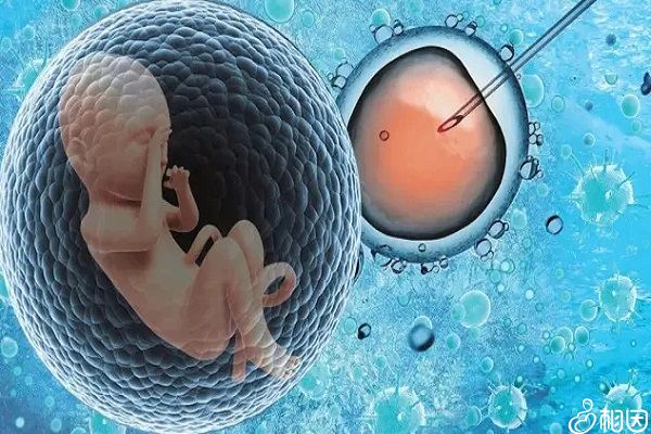2024年去武汉代怀性别男孩包成功婴儿怀双胞胎费用会更贵吗2024年去武汉做第三代哪里有供卵代生机构多少钱