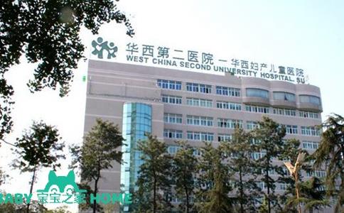 代怀生子需要多少费用婴儿可以选男孩女孩吗