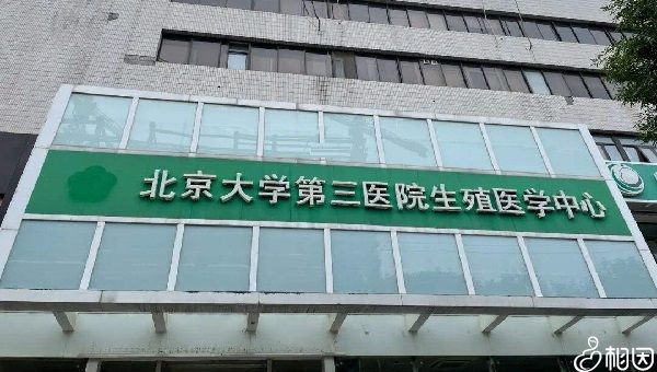 精子质量也有正常标准,常吃8种补精食物轻松备孕
