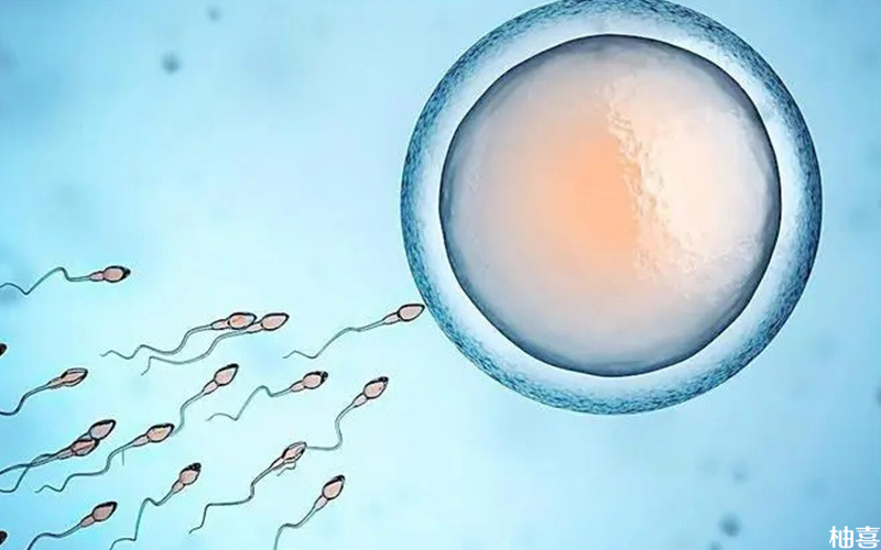 2024年湖北武汉妇幼保健院三代试管代怀有多少费用费用要多少钱