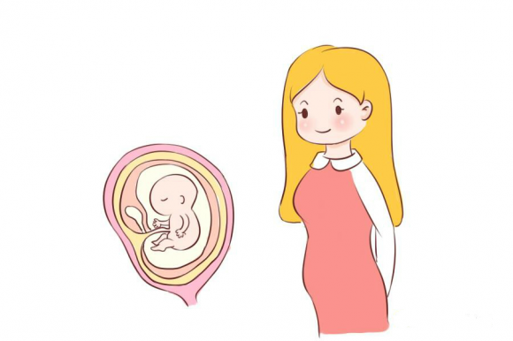 孕产试管供卵助孕机构电话孕早期注意事项代怀孕价格会有问题吗