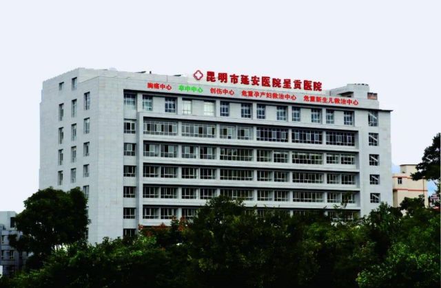 2024武汉市高龄供卵试管助孕指南,这三家医院尤为推荐