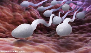 武汉借卵试管代生费用婴儿成功率最高的医院,北医三院、郑大附一院均上榜了!